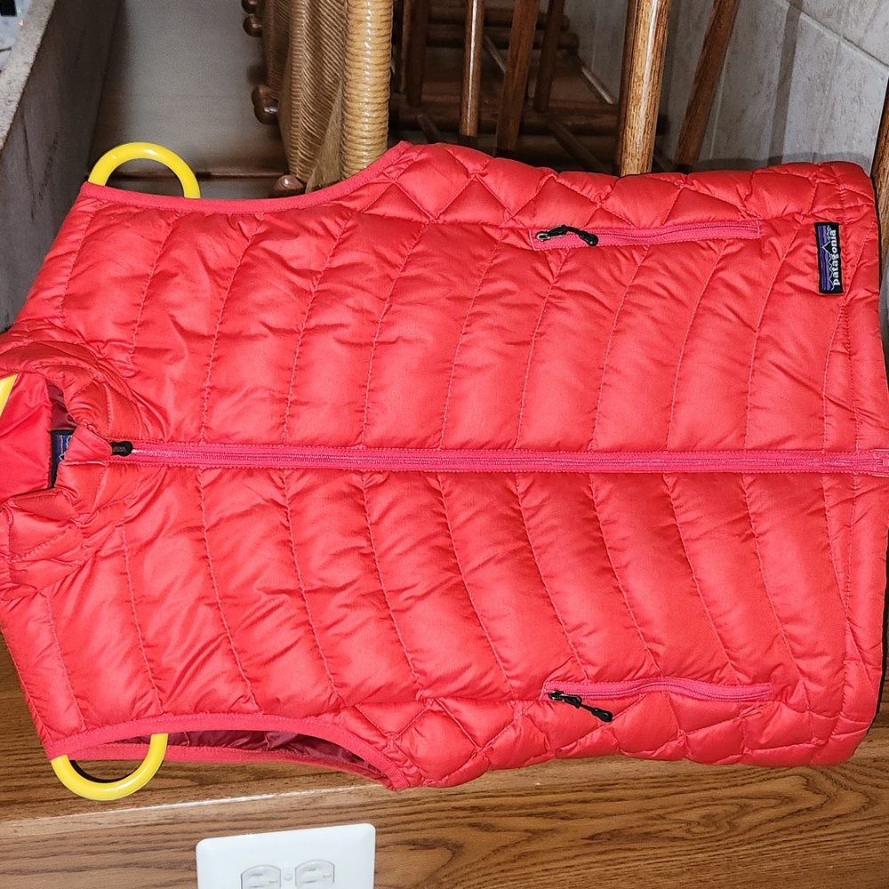 patagonia down vest